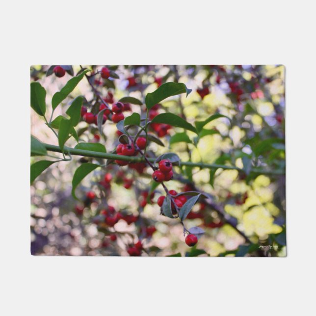 クリスマス/冬のドアマット ドアマット (正面)