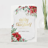 クリスマス 冬の花 ポインセチア (正面)