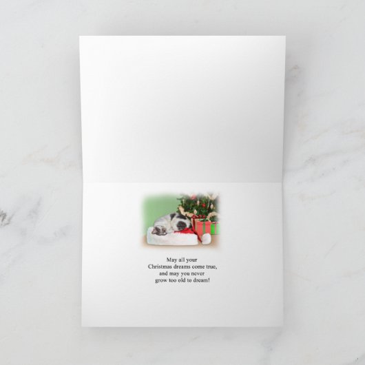 クリスマス、孫娘、睡眠猫、サンタの帽子 シーズンカード (内部)