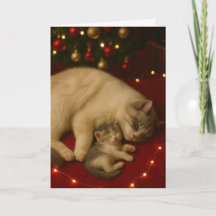クリスマス 折りたたみグリーティングカード 眠り猫