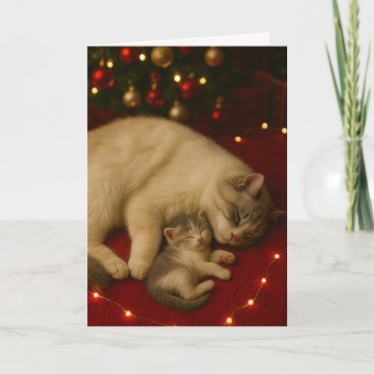 クリスマス 折りたたみグリーティングカード 眠り猫 カード (正面)