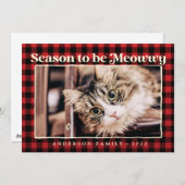 クリスマス＆新年の挨拶プレイド面白いペット猫の写真 シーズンカード (正面/裏面)