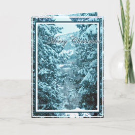 クリスマス,新年,休日 – 雪の木々 シーズンカード