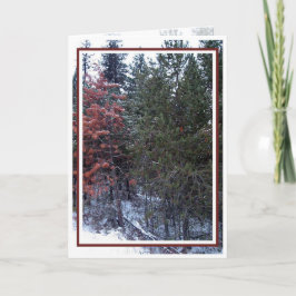 クリスマス,新年,祝空白の日 – シーズンカード