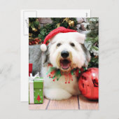 クリスマス – 旧英語シェプドッグ – Alphy (正面/裏面)