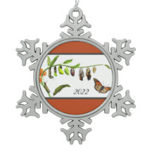 クリスマス（昆虫）オオカバマダラ、モナーク蝶のライフサイクル