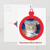 クリスマス、最高の猫のママへ ポストカード (正面/裏面)