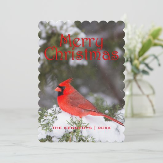 クリスマス-杜松の木の北の基本的な男性 シーズンカード (スタンド正面)