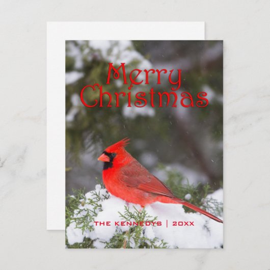 クリスマス-杜松の木の北の基本的な男性 シーズンポストカード (正面/裏面)