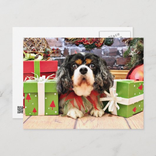クリスマス-無頓着なチャールズ王スパニエル犬-は上がりました シーズンポストカード (正面/裏面)