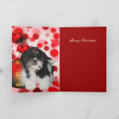 クリスマス+犬+シッズー+子犬+帽子+ハート シーズンカード (内部)
