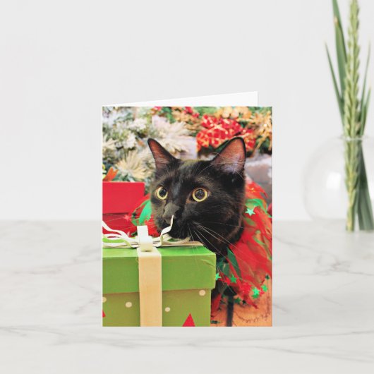 クリスマス – 猫 – ベントレー (正面)