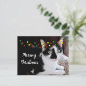 クリスマス 猫 ホリデー ポストカード (スタンド正面)