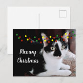 クリスマス 猫 ホリデー ポストカード (正面/裏面)