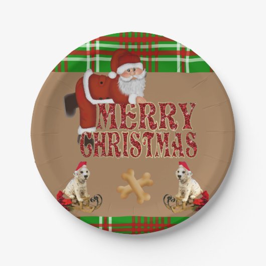 クリスマス 紙皿 サンタ (正面)