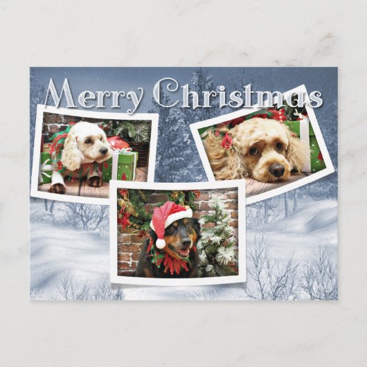 クリスマス – 縁どコリー – コックポー (正面)