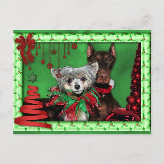 クリスマス – 赤いリボンツリー – Doberman Crestie (正面)