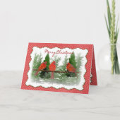 クリスマス – 赤い深紅色がブランチに止まる (正面)