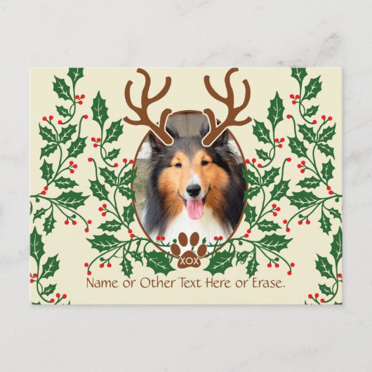 クリスマス〔雄ジカの〕枝角の犬/猫パーソナライズ写真 シーズンポストカード (正面)