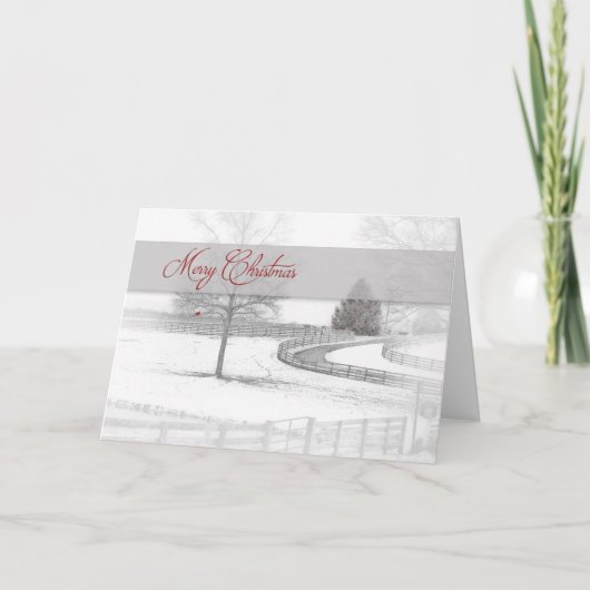 クリスマス – 馬の牧場 – 冬/雪 (正面)