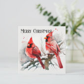 クリスマス(鳥)ショウジョウコウカンチョウとカスタマイズ可能な家族写真 シーズンカード (スタンド正面)