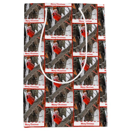 クリスマス（鳥）ショウジョウコウカンチョウとストッキングキャップ ミディアムペーパーバッグ (正面)