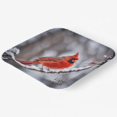 クリスマス（鳥）ショウジョウコウカンチョウオンウィンターブランチ ペーパープレート (傾斜あり)