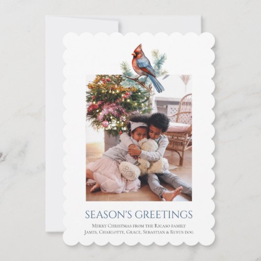 クリスマス(鳥)ショウジョウコウカンチョウバード写真テンプレート シーズンカード (正面)