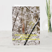 クリスマス（鳥）ショウジョウコウカンチョウホリデーカード シーズンカード (裏面)