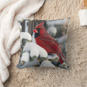 クリスマス(鳥)ショウジョウコウカンチョウ クッション (ブランケット)