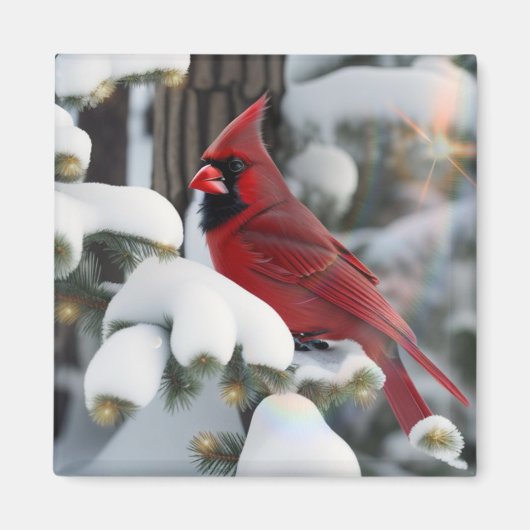クリスマス(鳥)ショウジョウコウカンチョウ マグネット (正面)