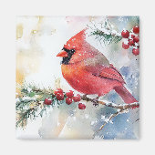 クリスマス(鳥)ショウジョウコウカンチョウ マグネット (正面)