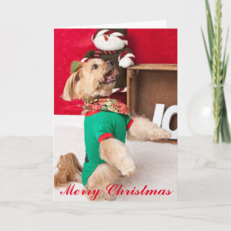 クリスマス(2015年)のために心配するJoey シーズンカード