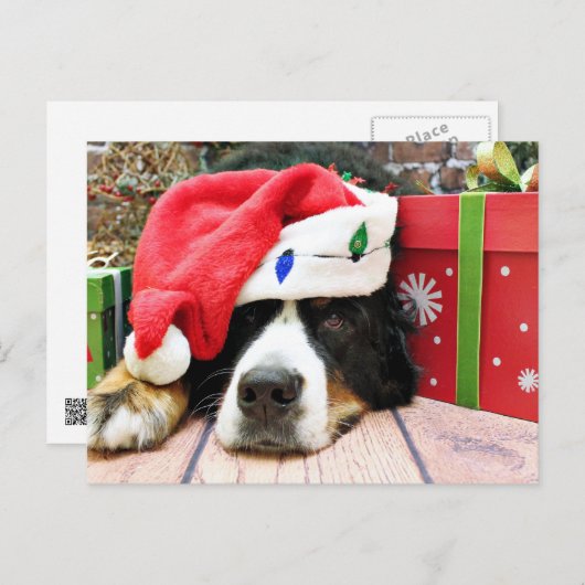 クリスマス – Bernese Mountain Dog - Mya (正面/裏面)