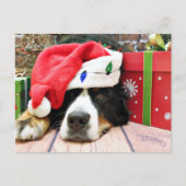 クリスマス – Bernese Mountain Dog - Mya (正面)
