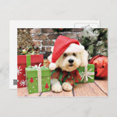 クリスマス – Bichon Frise -デイジー (正面/裏面)