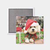 クリスマス – Bichon Frise -デイジー マグネット (正面/裏面)