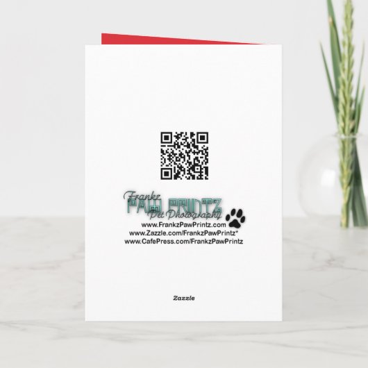 クリスマス – Bichon Frise – ハリー (裏面)