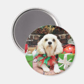 クリスマス – Bichon Frise X - Maya マグネット (正面/裏面)