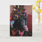 クリスマス – Black Lab カード (黄色い花)