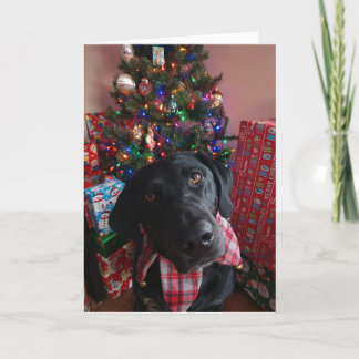 クリスマス – Black Lab カード