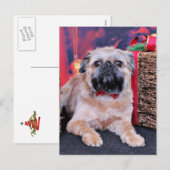 クリスマス – Brussels Griffon - Oliver (正面/裏面)