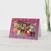 クリスマス – Chiweenie - Titos (正面)