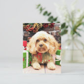 クリスマス- Cockapoo -モーガン シーズンポストカード (スタンド正面)