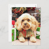 クリスマス- Cockapoo -モーガン シーズンポストカード (正面/裏面)