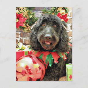 クリスマス – GoldenDoodle – パールジャム