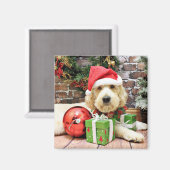 クリスマス – GoldenDoodle - Gus マグネット (正面/裏面)