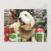 クリスマス – GoldenDoodle - Lacey (正面)
