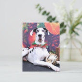 クリスマス – Harlequin Great Dane - Baron (スタンド正面)