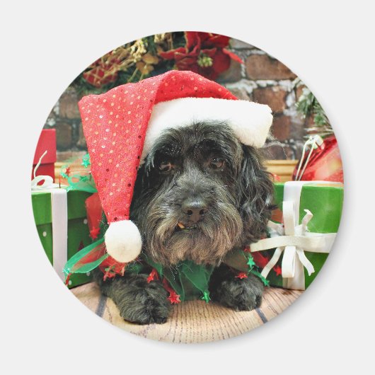クリスマス – Lhasa Apso - Pixie マグネット (正面)